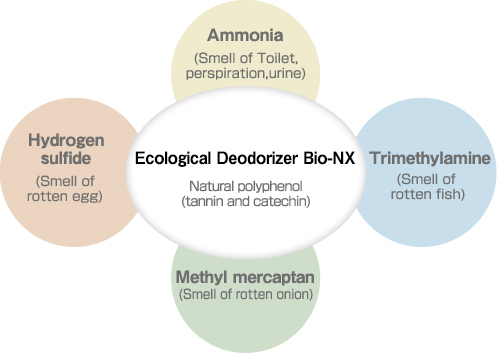 Natural polyphenol deodrizes malodorous component